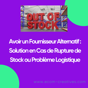 Avoir un Fournisseur Alternatif : Solution en Cas de Rupture de Stock ou Problème Logistique