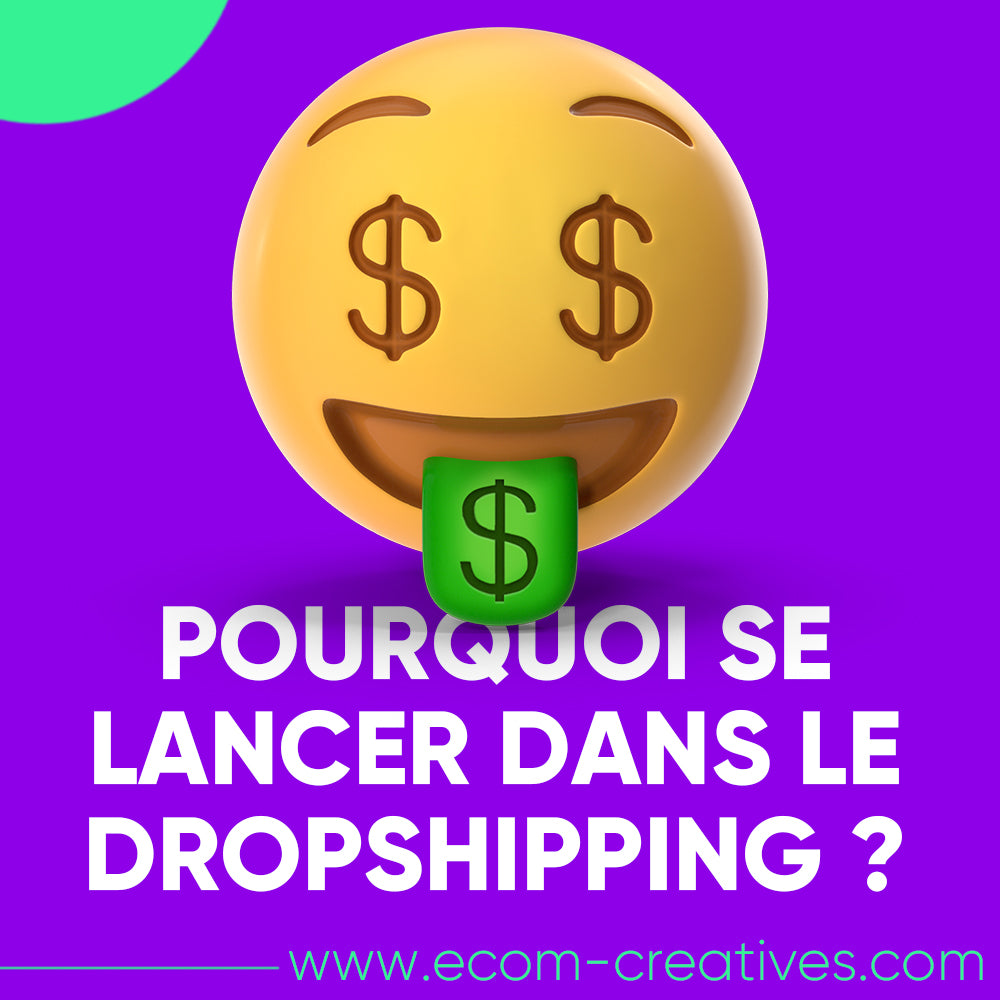 pourquoi ce lancer dans le dropshipping ?