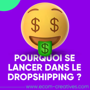 pourquoi ce lancer dans le dropshipping ?